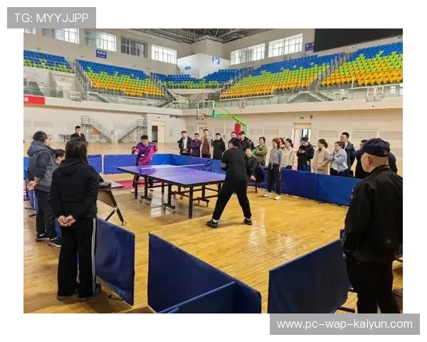 乒乓球协会推动青少年比赛裁判员职业路径建设，从事乒乓球裁判工作的经历